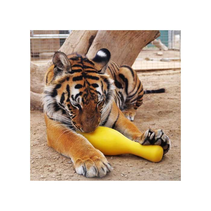 Bild 1 von Tuggo Shake N Fetch - Small - von Tigern getestet!