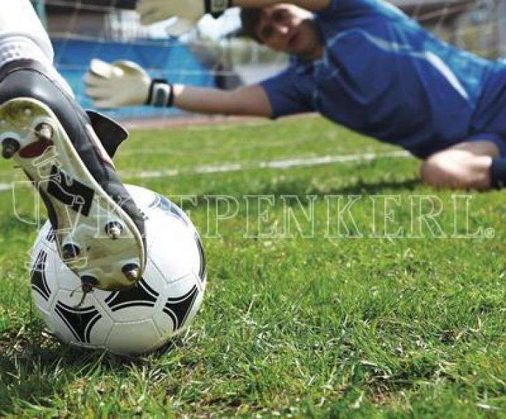 Bild 1 von Kiepenkerl RSM 3.2 Profi Sportrasen Regeneration ohne Poa pratensis 10 kg