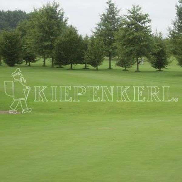 Bild 1 von Kiepenkerl RSM 4.4.2 Golfrasen Spielbahn 10kg