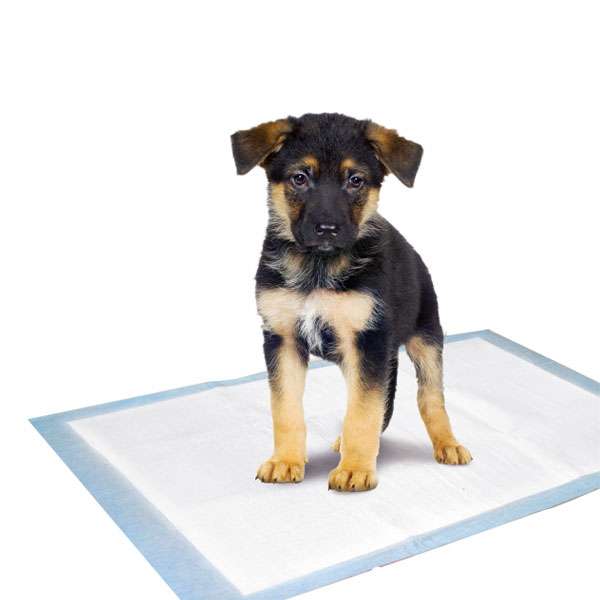 Bild 1 von Karlie Flamingo Puppy Pads Trainingsmatten  / (Variante) 60 x 40 cm / 10 Stk