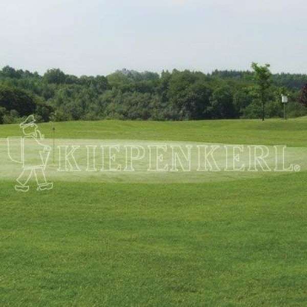 Bild 1 von Kiepenkerl RSM 4.2.1 Golfrasen Vorgrün 10 kg