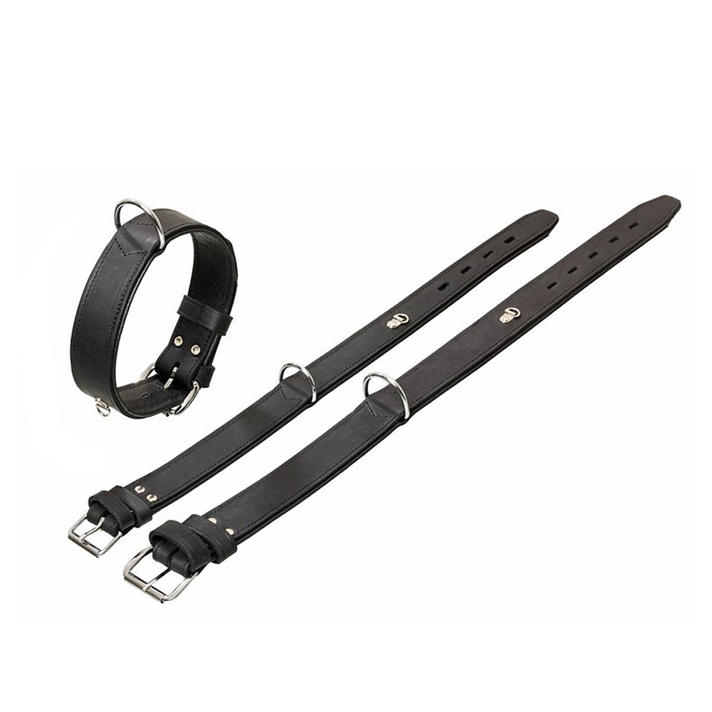 Bild 1 von Karlie Rondo Halsband mit Ring für Adresstube - Schwarz  / (Variante) 65cm/40mm