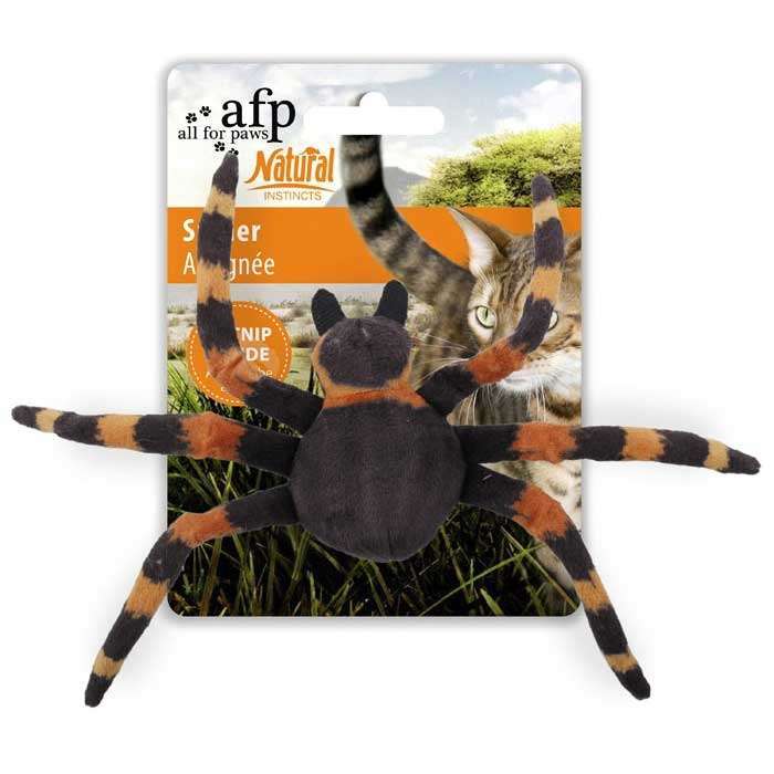 Bild 1 von All for Paws Natural Instincts Katzenspielzeug Spider