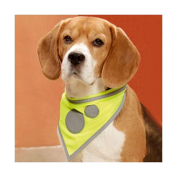 Bild 1 von Karlie Safety Dog Sicherheitshalstuch - Gelb