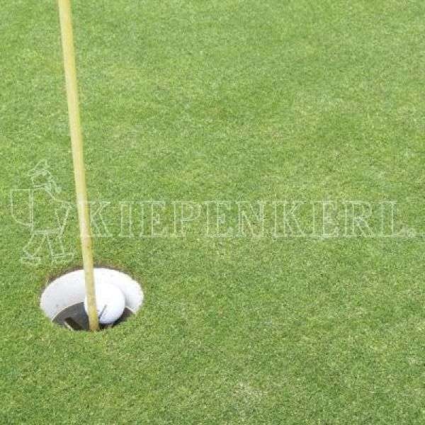 Bild 1 von Kiepenkerl RSM 445 Golfrasen Masters Fairway 10kg