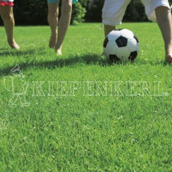 Bild 1 von Kiepenkerl RSM 2.3 Gebrauchsrasen Spielrasen mit Poa supina 10 kg