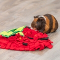 Bild 4 von Trixie Schnüffelteppich Erdbeere für Kleintiere