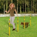 Bild 6 von Karlie Fun Agility Starter-Set