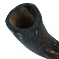 Bild 3 von Viking Whole Horn  / (Variante) S