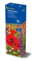 Kiepenkerl Profi-Line Blumenmischung Nuetzlingsparadies