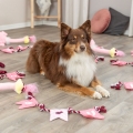 Bild 2 von Trixie Hundespielzeug Valentines Tau