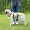 Bild 2 von Trixie Panikgeschirr Stay  / (Variante) Trixie Panikgeschirr Stay S-M, 40-65 cm/15 mm