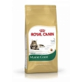 Royal Canin Maine Coon