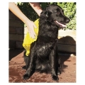 Bild 1 von Trixie Top-Fix Tier-Handtuch - 50 x 60 cm