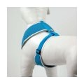 Bild 4 von Pet-Star Softgeschirr / Netzgeschirr - Blau  / (Variante) XL