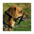 Bild 1 von Trixie Top Trainer Ausbildungsgeschirr  / (Variante) Trixie Top Trainer Ausbildungsgeschirr max. 37 cm