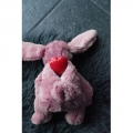 Bild 6 von Cozy Dog Bunny mit Herzschlag und Wärmekissen  / (Variante) Blau