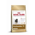 Royal Canin Rottweiler 31 Junior