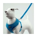 Bild 3 von Pet-Star Softgeschirr / Netzgeschirr - Blau  / (Variante) XL