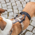 Bild 8 von Trixie Panik-Adapter Stay für Geschirre  / (Variante) M–L/46–72 cm