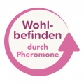 Bild 2 von Beaphar CaniComfort Starter-Kit