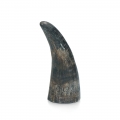 Bild 1 von Viking Whole Horn  / (Variante) S