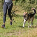 Bild 1 von Trixie Bauchgurt mit Leine für mittelgroße und große Hunde