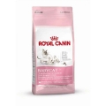 Royal Canin Babycat