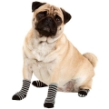 Bild 5 von Karlie Doggy Socks Hundesocken 4er Set - Schwarz/Grau