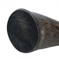 Bild 5 von Viking whole Horn solid  / (Variante) S