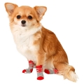 Bild 4 von Karlie Doggy Socks Hundesocken 4er Set - Rot/Grau  / (Variante) S