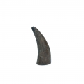 Bild 3 von Viking whole Horn solid