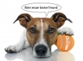 Bild 2 von Doggy Fun Ballwurfmaschine