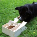 Bild 2 von PROCYON Intelligenzspielzeug Hundeklavier