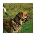 Bild 2 von Trixie Top Trainer Ausbildungsgeschirr  / (Variante) Trixie Top Trainer Ausbildungsgeschirr max. 37 cm