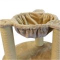 Bild 5 von Kratzbaum Maine Coon Colosseum  / (Variante) Grau