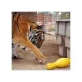 Bild 4 von Tuggo Shake N Fetch - Large - von Tigern getestet!  / (Variante) Rot