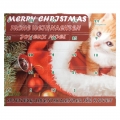 Bild 1 von Adventskalender für Katzen